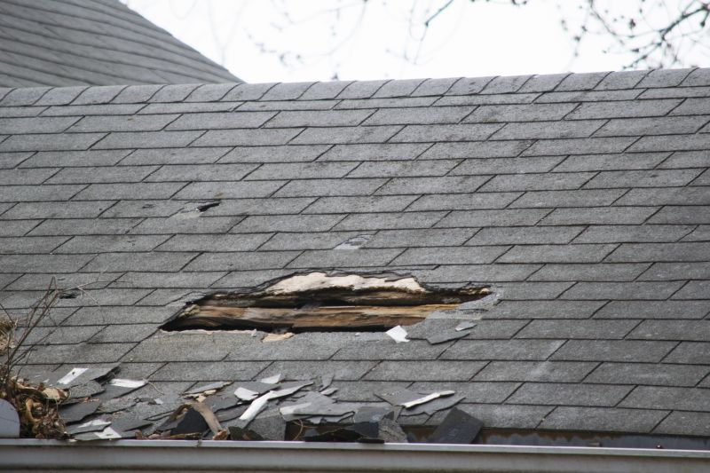 Asphalt Roof Leak Repair in Louisa County, VA