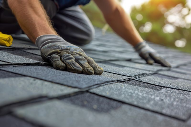 Asphalt Roof Leak Repair in Louisa, VA