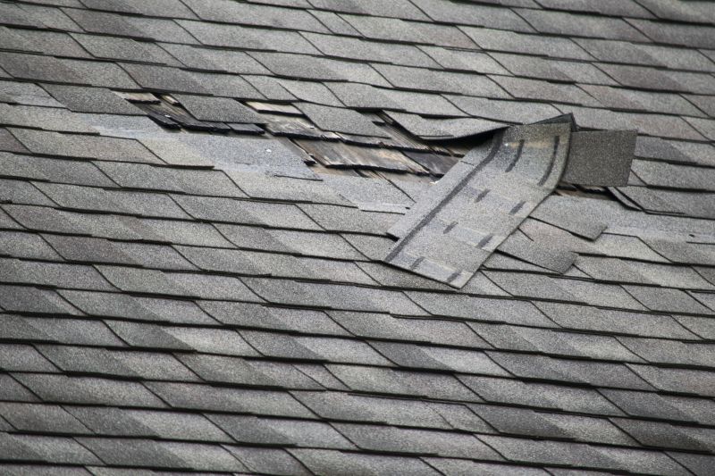 Asphalt Roof Leak Repair in Ruckersville, VA