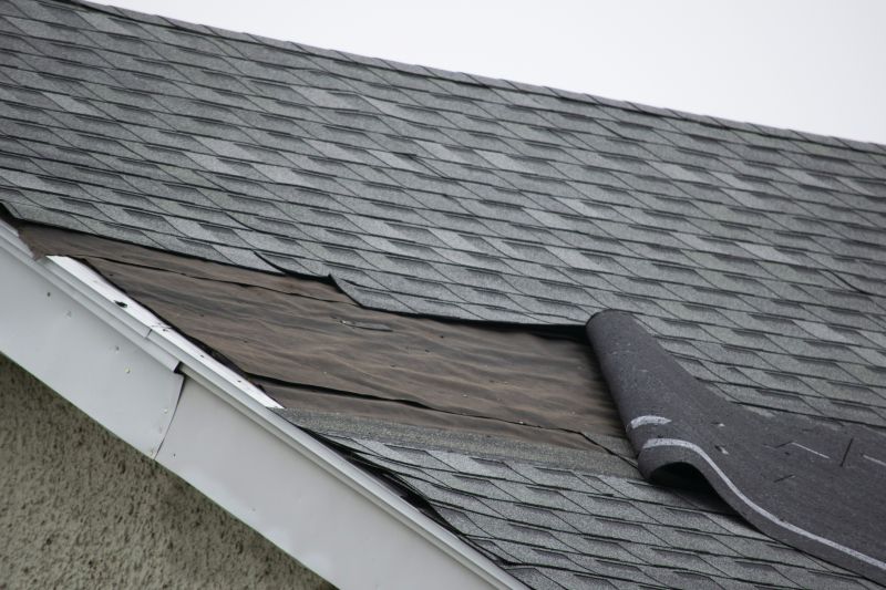 Asphalt Shingles Repair in Louisa County, VA