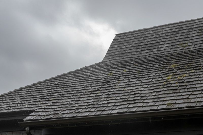 Cedar Roof Replacement in Barboursville, VA