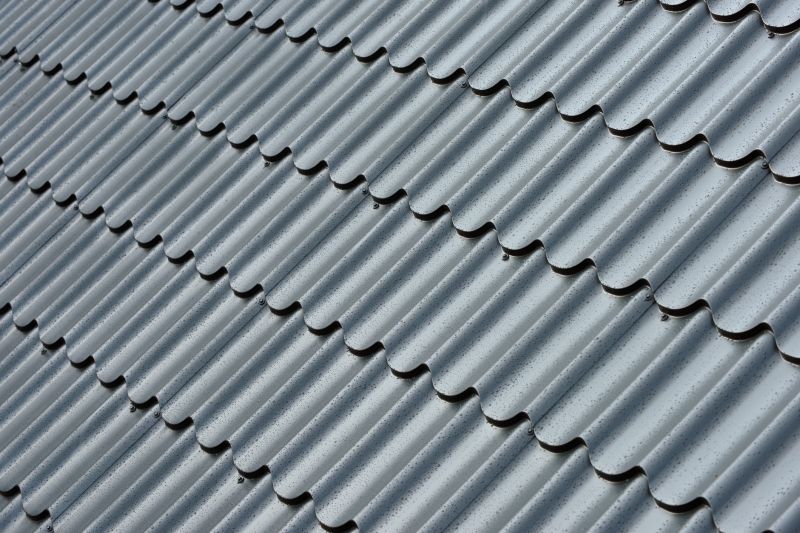 Corrugated Roof Repair in Greene County, VA