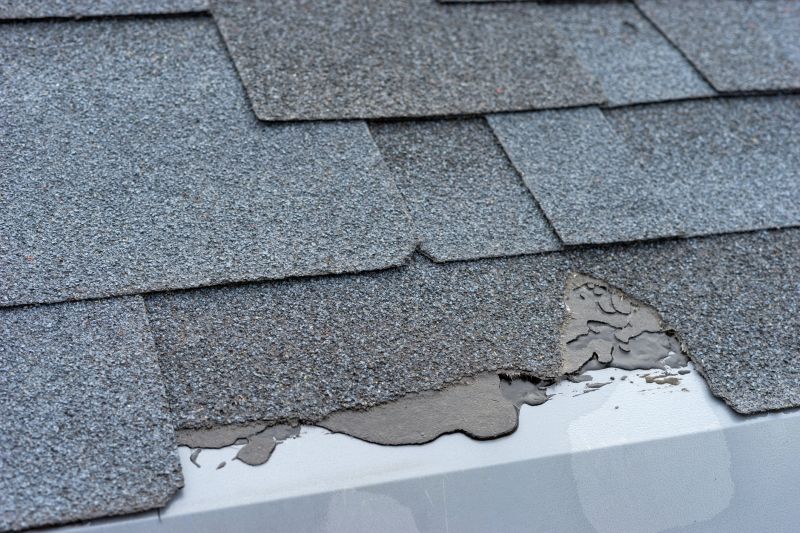 Damaged Roof Repair in Barboursville, VA