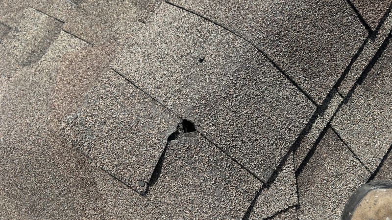 Damaged Roof Repair in Earlysville, VA