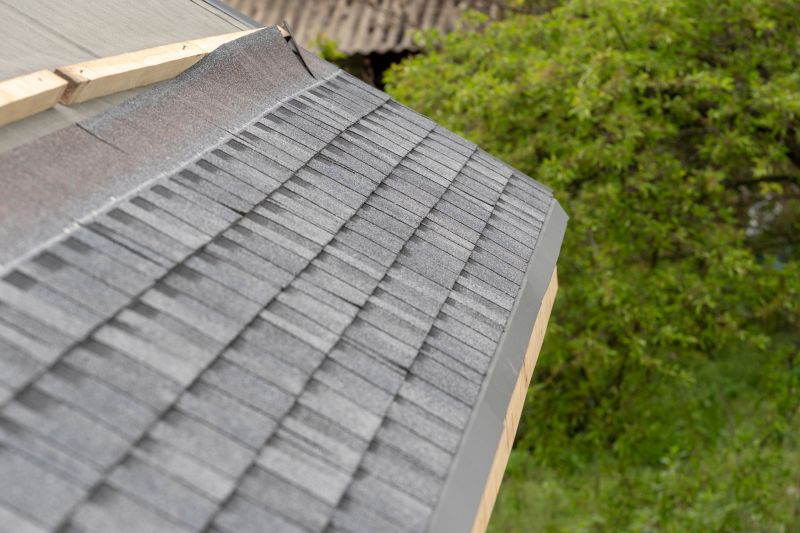 Damaged Roof Repair in Earlysville, VA