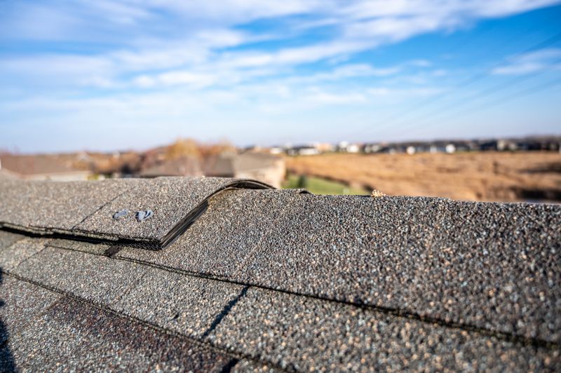 Damaged Roof Repair in Palmyra, VA