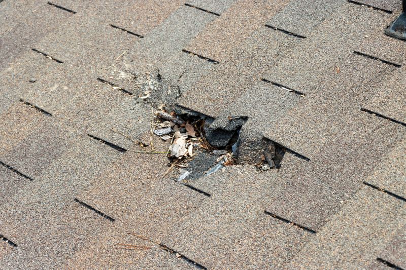 Damaged Roof Replacement in Earlysville, VA