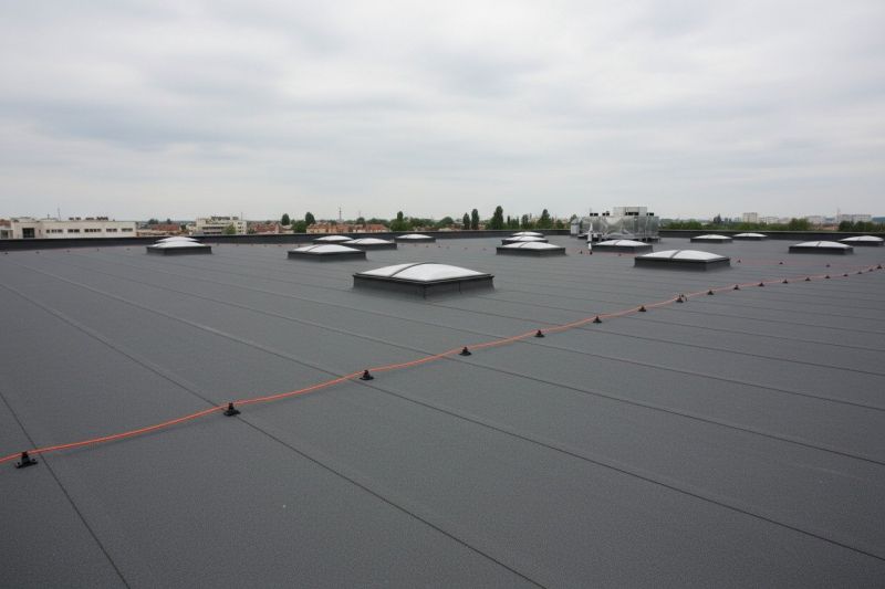 Flat Roof Replacement in Palmyra, VA
