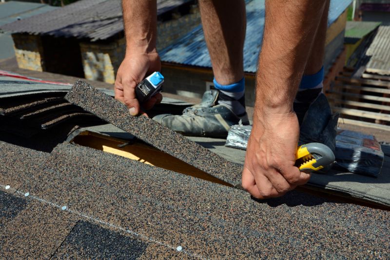 Shingles Repair in Palmyra, VA