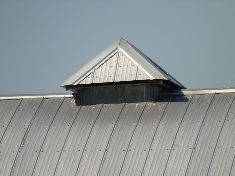 Tin Roof Installation in Barboursville, VA