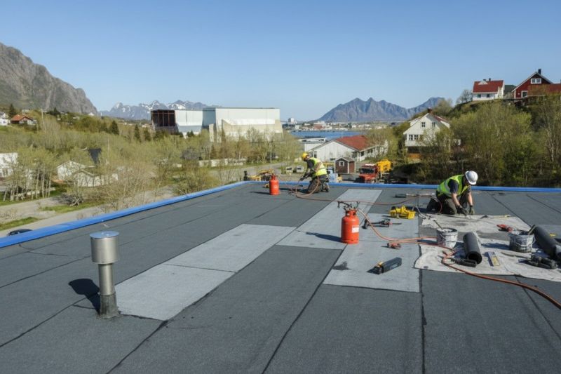 Tpo Roof Replacement in Albemarle County, VA