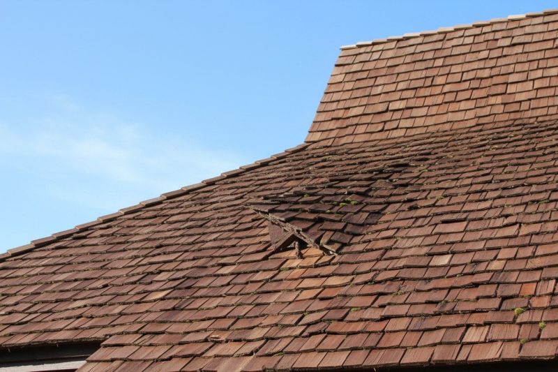 Wood Shake Roof Replacement in Louisa County, VA